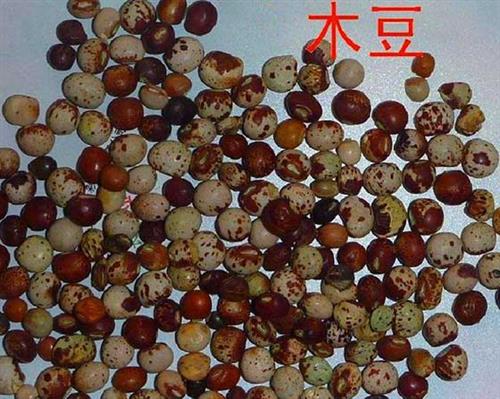 長沙東日園林工程有限公司,長沙園林綠化工程,長沙綠化養護管理 長沙東日園林工程有限公司,長沙園林綠化工程,長沙綠化養護管理